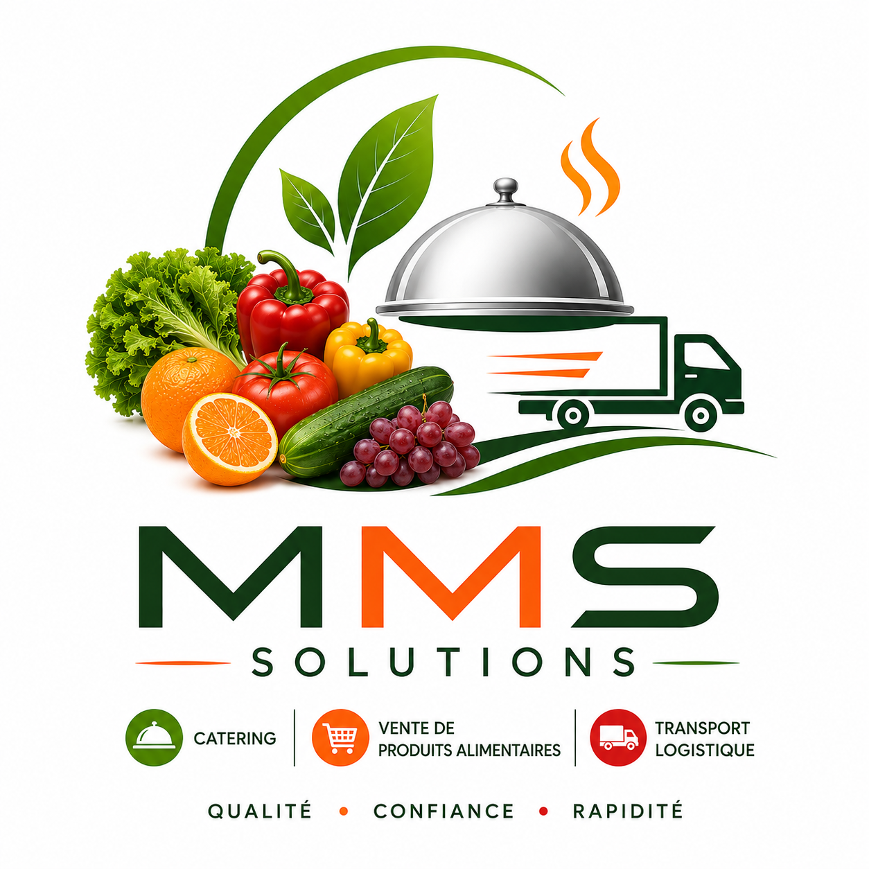 Logo MMS Solutions